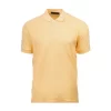 NHB2423_VegasGold
