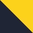 Gold-Navy